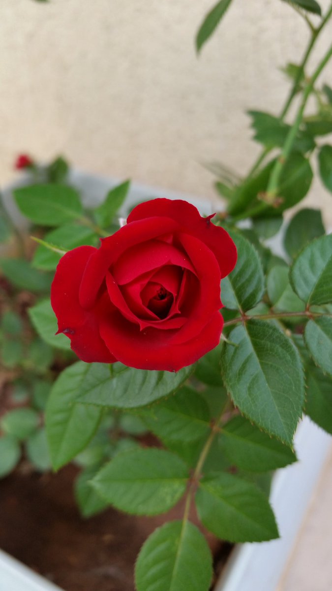 Jeane tim beta (@jeanelourdes18) on Twitter photo 