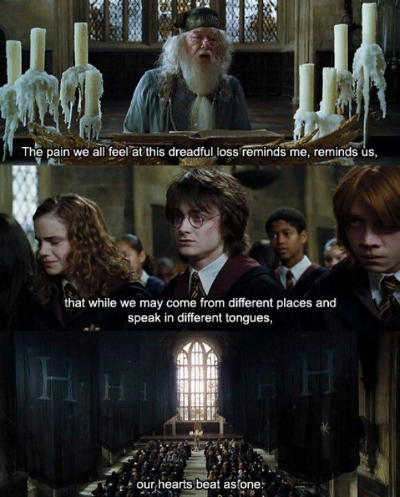 "While we may come from different places and speak in different tongues, our hearts beat as one." – Dumbledore