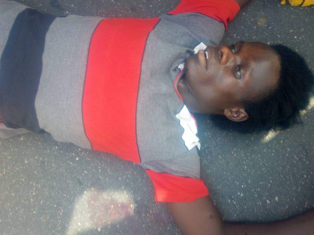 Abzagala's tweet photo. Murderous criminals @MBuhari &amp; his gang @GovUmarGanduje @PoliceNG started killing #IMNMembers  #ArbaeenTrekNigeria @hrw @amnesty @bbchausa https://t.co/PJ1Zi1rqhH