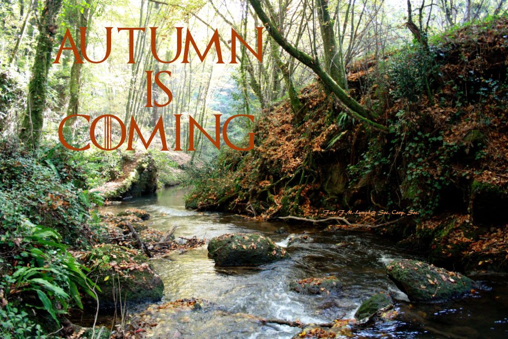 Lymphavitale's tweet photo. #autumniscoming lungo la #ViaAmerina! 
#Straderomane #Archaeology #romancountryside #nature #NaturePhotography 
 (https://t.co/Py5OXjeLTv) https://t.co/lzq3Rmk4Mx