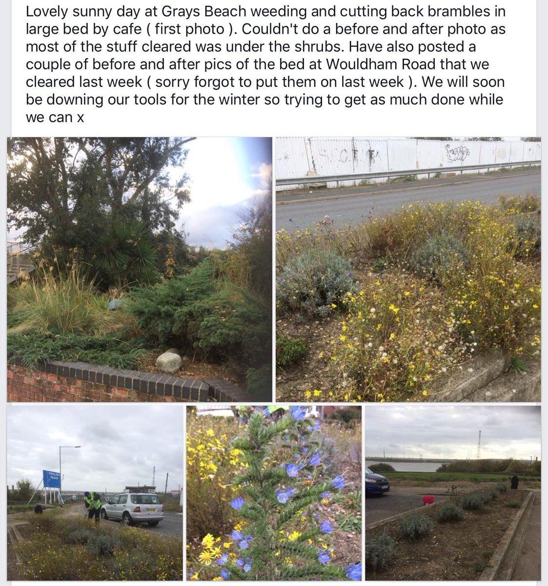 GraysPhoenix's tweet photo. Thanks to the team for their hard work at #GraysBeach and to Val @DandvValerie for the pics. #LoveGrays https://t.co/vzmWuxciii