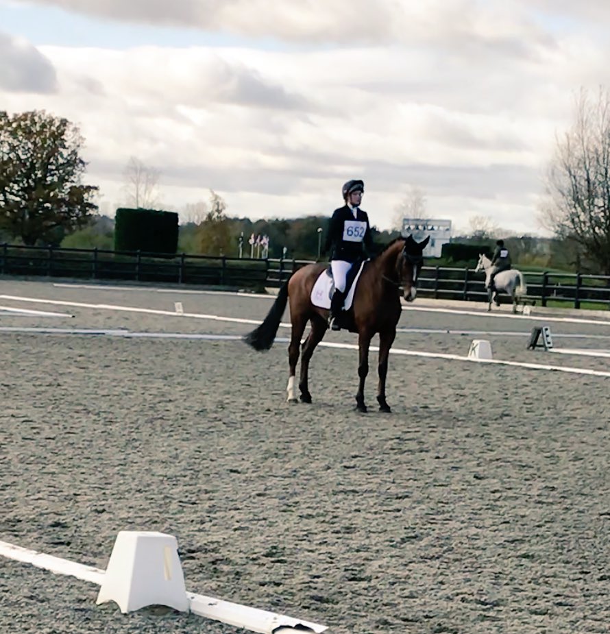 yazzsanderson's tweet photo. 4yo Fin jumping a super cute double clear round the 90 at Aston to conclude the season✔️ grown up 5yo next year😱 #topbaby @DHIeventhorses1 https://t.co/csHdqWg9Vw