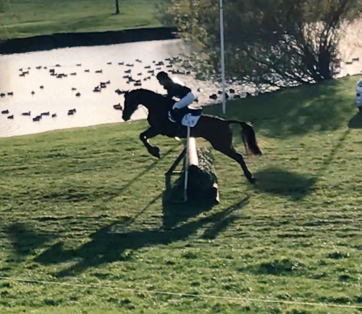yazzsanderson's tweet photo. 4yo Fin jumping a super cute double clear round the 90 at Aston to conclude the season✔️ grown up 5yo next year😱 #topbaby @DHIeventhorses1 https://t.co/csHdqWg9Vw