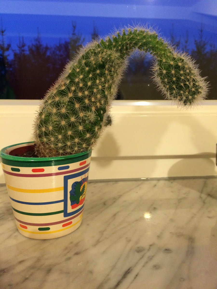 heksensus
