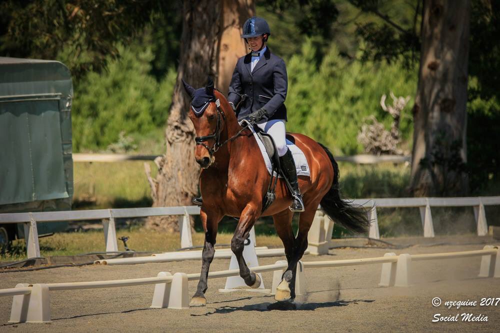 ree_moss's tweet photo. Super day out at McLeans Island NEC yesterday! 68.85% & a win in 4B + 64.13% & 3rd in 4D #lovemypony #247Dressage #activomed https://t.co/mVN3Y2x3oh