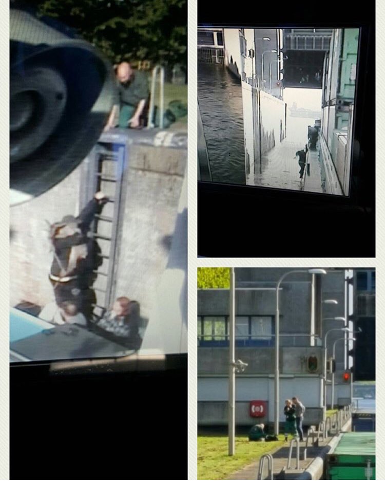 Dorevja Shipping tweet media