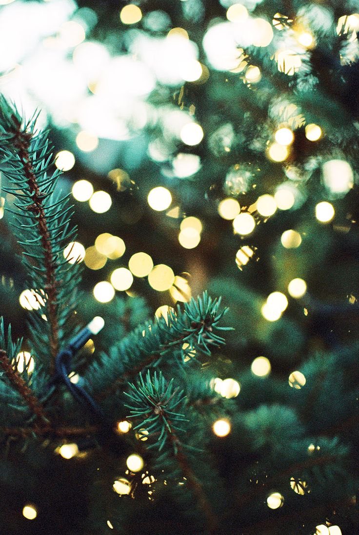 sitkaknits's tweet photo. The holiday season is upon us! Order early as each item is handmade to order! #etsyseller #holiday #christmastime #giftsforhim #giftsforher https://t.co/isroKSwtbI