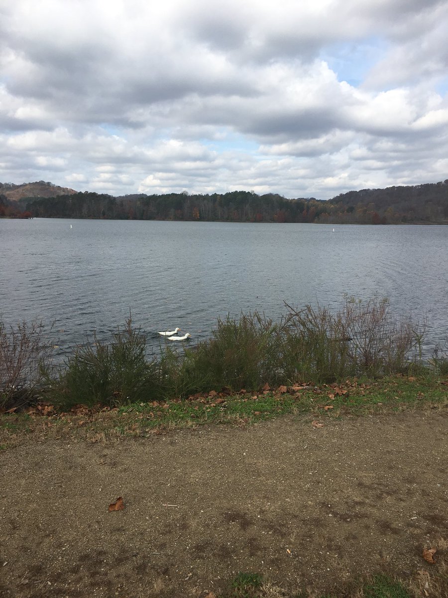 jenmartinrn's tweet photo. Beautiful Fall Day @paintsvillelake #SundayMorning #lakelife https://t.co/pQNuq1B8KH