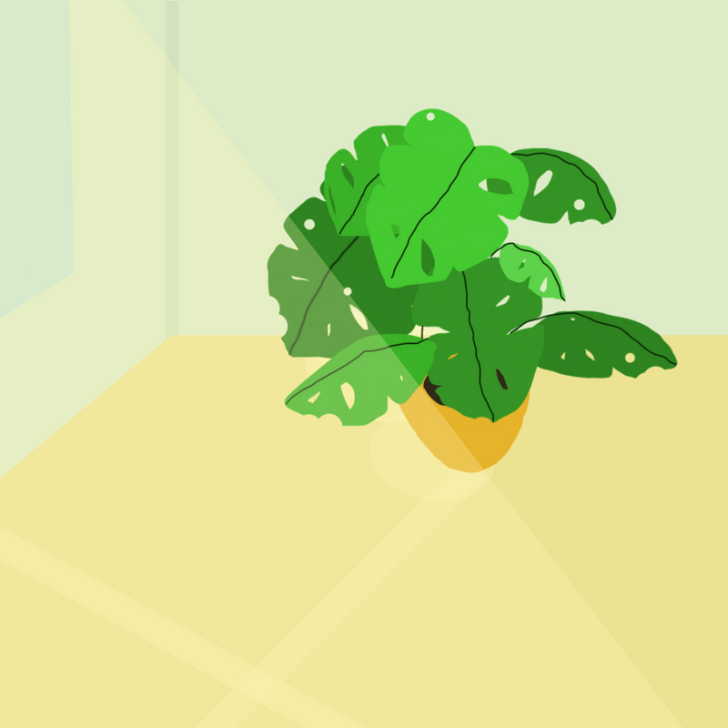 swav_studio's tweet photo. First memory of a plant, and a height standard for quite a while.
#illustration #plants #interiordesign #digital https://t.co/YCqsRWGcJJ
