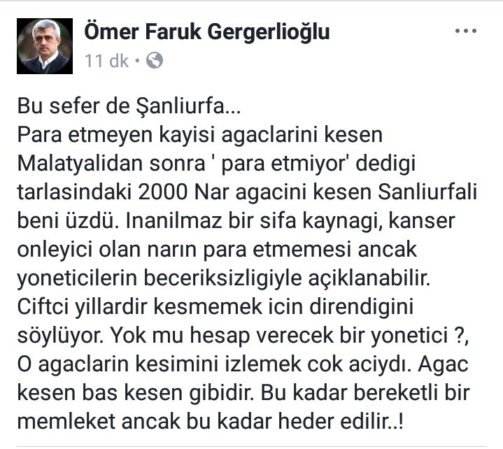 gergerliogluof's tweet photo. Agac kesen bas kesen gibidir. Bu kadar bereketli bir memleket ancak bu kadar heder edilir..! https://t.co/JSC8bA3gID