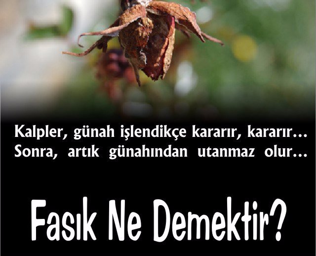 Fasık Kime Denir? haciahmetunlu.wordpress.com/2017/11/05/fas…