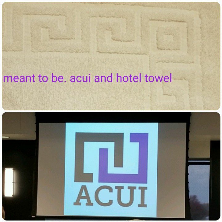 EveEsch12's tweet photo. Wrapping up @ACUIRegionII
Awesome experience - well done CPT and @MSU_PSU host team. #showmeACUI https://t.co/7xqdp5Ip62