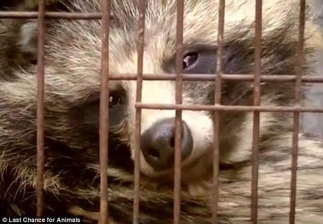 TamaraSka7's tweet photo. ❗PLS SUPPORT THE PROJECT 
#EcoAPorter - FASHION WITHOUT SUFFERING❗
by .@iodich➡https://t.co/BXbRqULRZ8
#NoFur #CrueltyFree #FauxFur https://t.co/SSoBvDul18