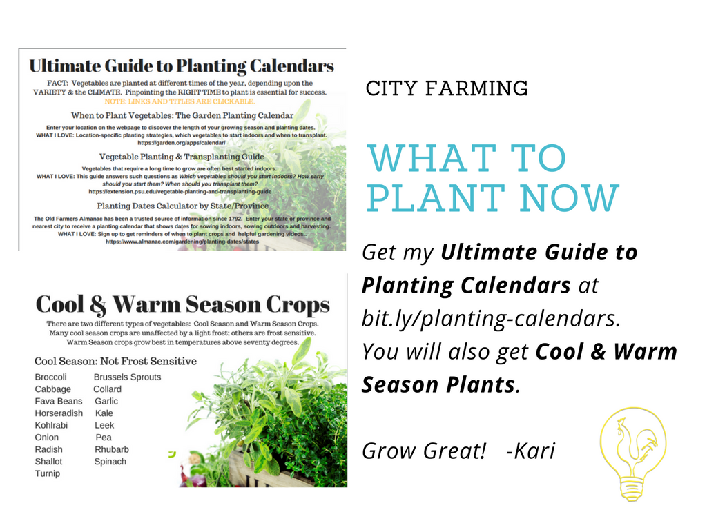 GrowPHX's tweet photo. Planting Calendars and Warm & Cool Season Vegetables - City Farming https://t.co/fqmZFadQ78 #micro_farm https://t.co/JGIVM8yHyk