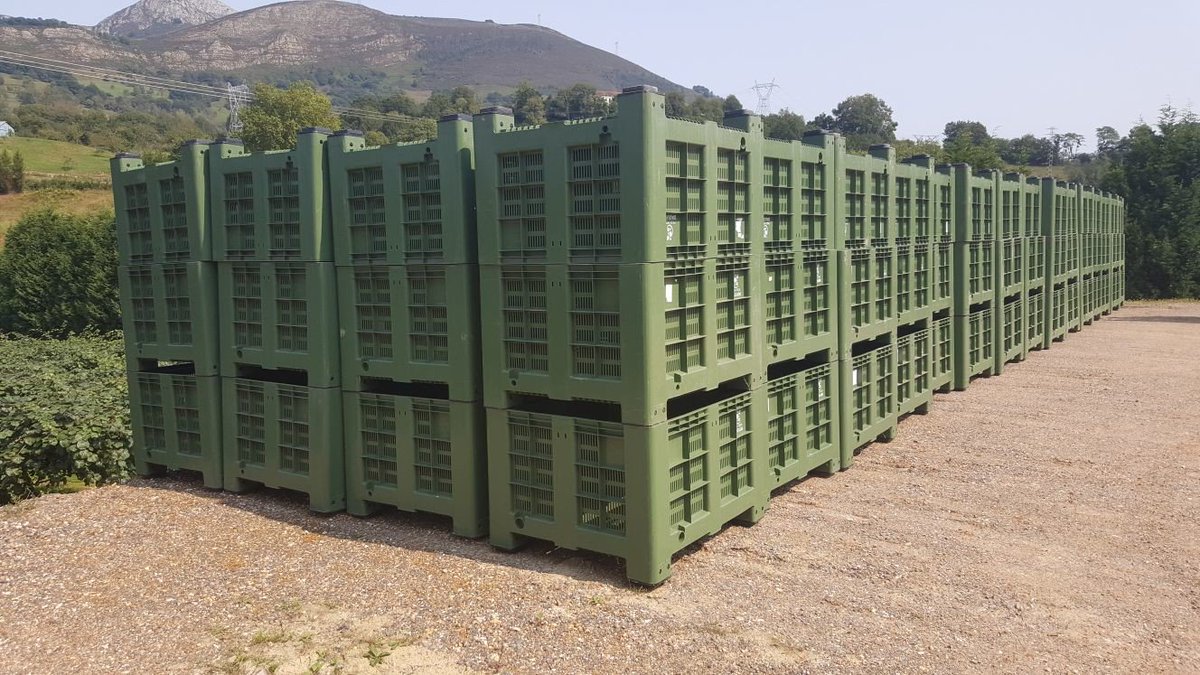 vegadeaguin's tweet photo. El movimiento en la #plantación nos dice que pronto empieza la #cosecha #kiwiasturiano #gourmet #Piloña #runrundecosecha #noviembre #palots https://t.co/Z6QIZ6B4fZ