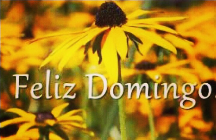 PuntoAd's tweet photo. #FelizDomingo https://t.co/6zaiz3WXkn