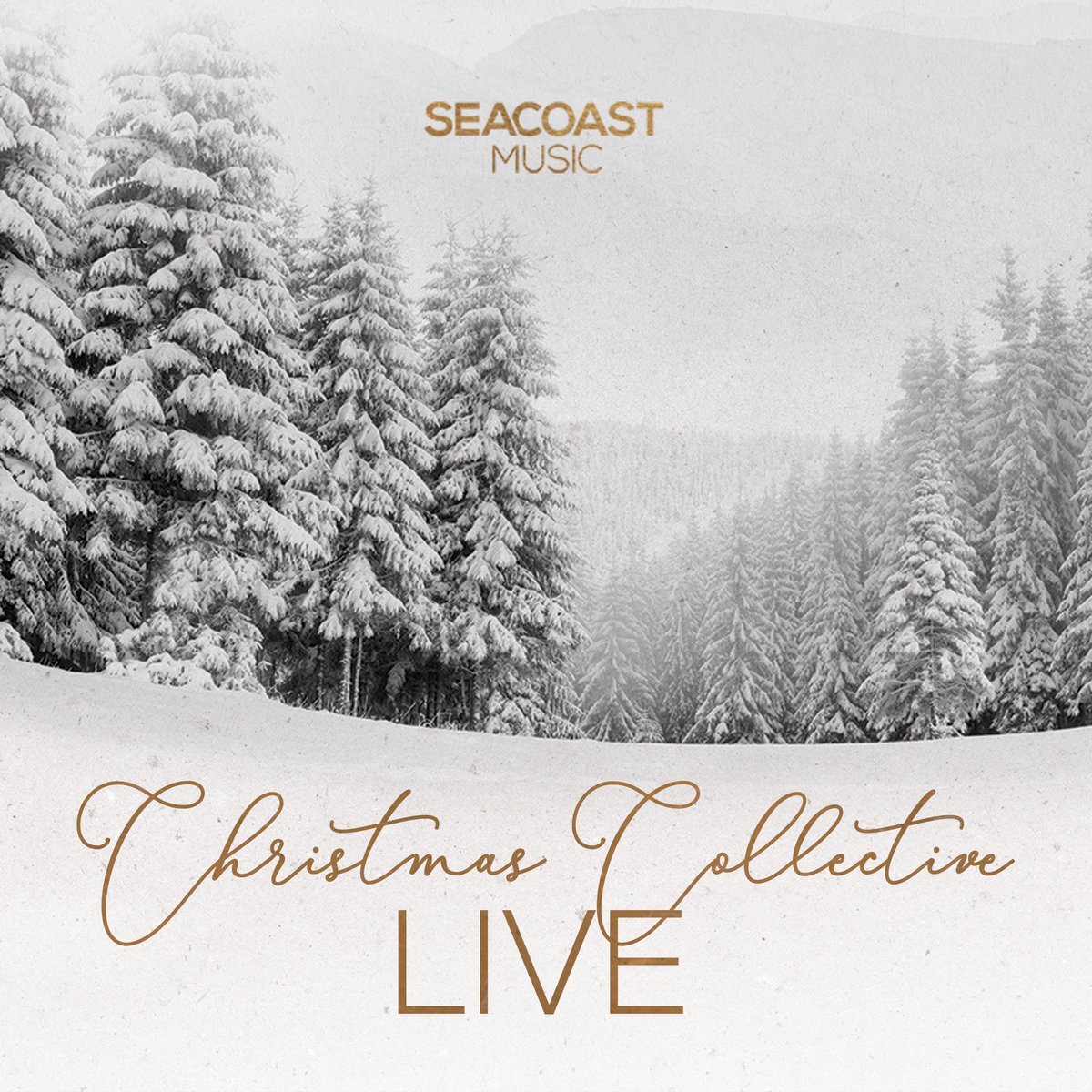 We are so excited!! Tickets on sale now! Charleston Music Hall - Dec 11/ 7 pm. ticketfly.com/purchase/mobil…