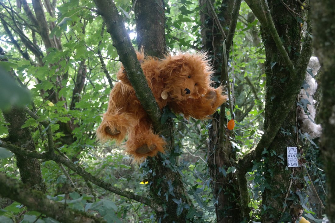 Arth Doeth tweet media