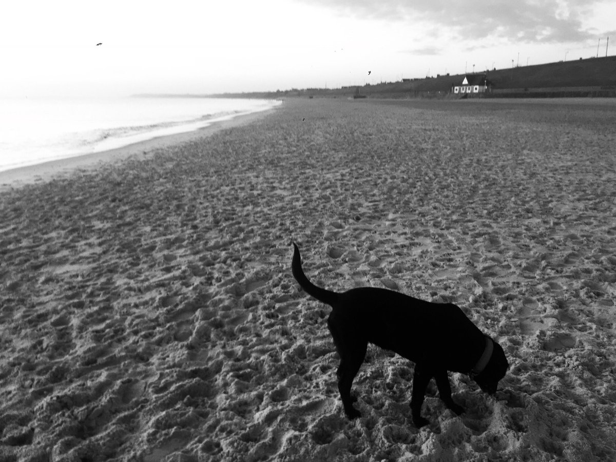 smittygy101's tweet photo. Lovely beach walk https://t.co/sLFcSFBEQR