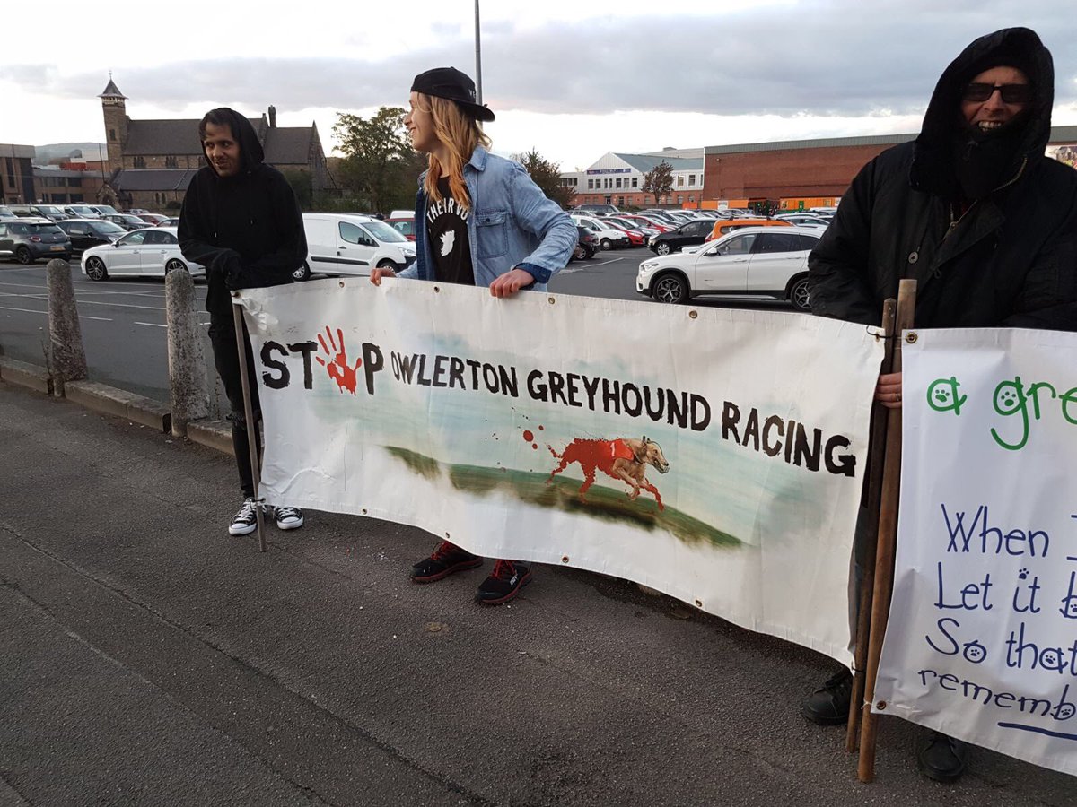 SOGR24606384's tweet image. .@BlueLineSheff Owlerton has Greyhounds on-site whilst fireworks spectacular is on. Dogs fear the fireworks  noise flashes and scent.