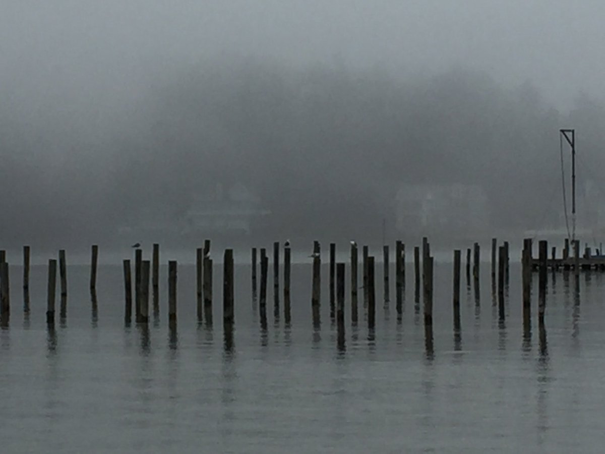Jacquelyn Vincenta (@jacquelynvinc20) on Twitter photo Secrets. Disappearances. Delusions. Let's talk mystery! #TheLakeandtheLostGirl: Mon, Nov 6, 6:30 pm <a href="/Kzoo_Gazette/">Kalamazoo Gazette</a> <a href="/PureMichigan/">Pure Michigan</a> <a href="/pkhorn/">Pamela Klinger-Horn</a> Secrets. Disappearances. Delusions. Let's talk mystery! #TheLakeandtheLostGirl: Mon, Nov 6, 6:30 pm <a href="/Kzoo_Gazette/">Kalamazoo Gazette</a> <a href="/PureMichigan/">Pure Michigan</a> <a href="/pkhorn/">Pamela Klinger-Horn</a>