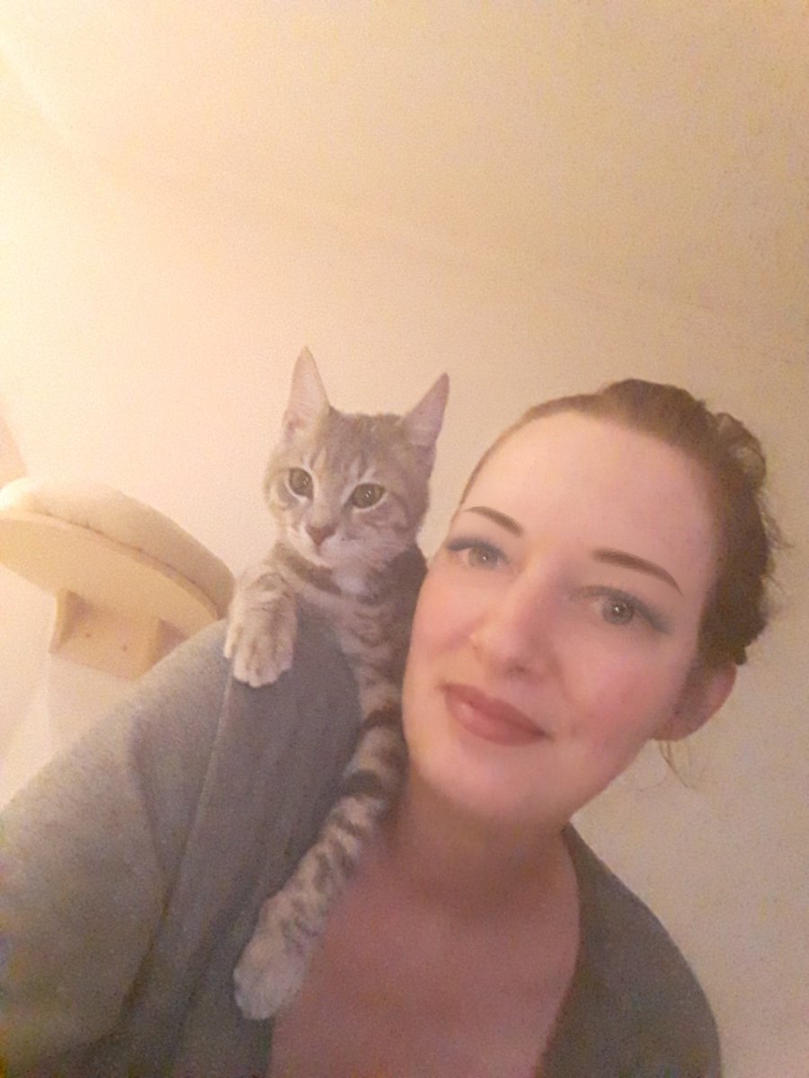 nadbie's tweet photo. dog selfie vs cat selfie 🐶🐱 https://t.co/8mrWUN6sqY