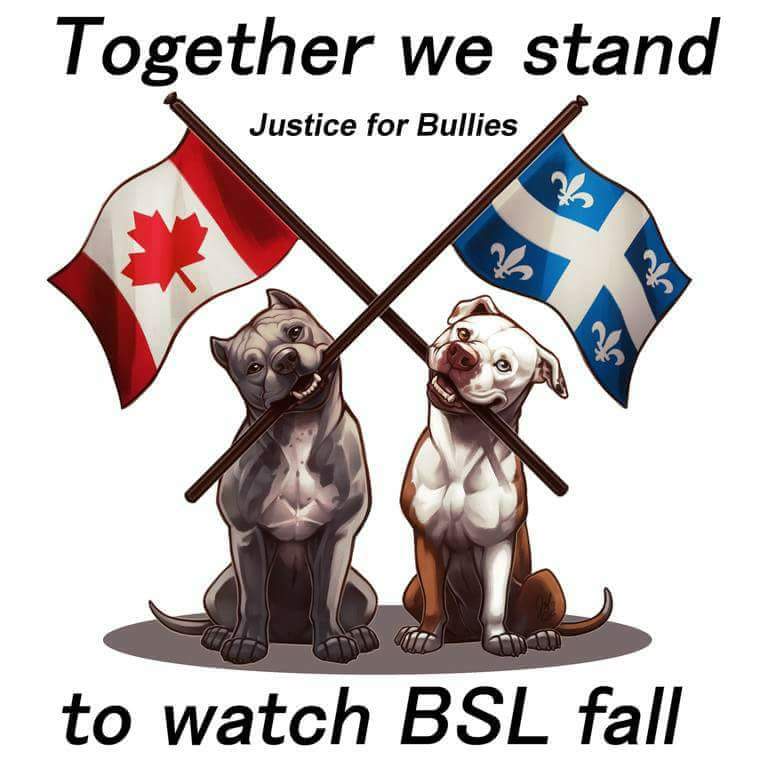JFBCSA's tweet photo. "Together we stand to watch BSL fall"
#endBSL #notoBill128 #Canada150 #BSLbytes
https://t.co/Ht6AzdoUnh https://t.co/yG7mASmn1F