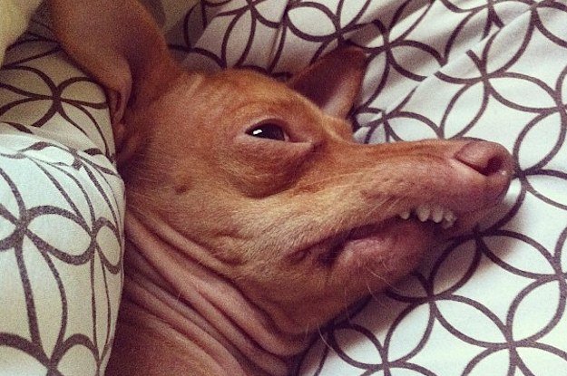 weClubb's tweet image. Ya sois personas, piltrafillas?
#resaca #DomingosDeResurreccion #domingo #fiesta #valencia