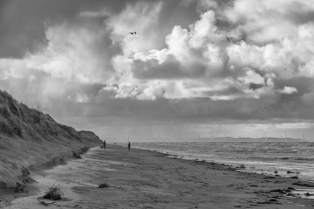 Botanics's tweet image. #formby #beach #blackandwhite #cloudy #windy #autumn #sanddunes #dunes
