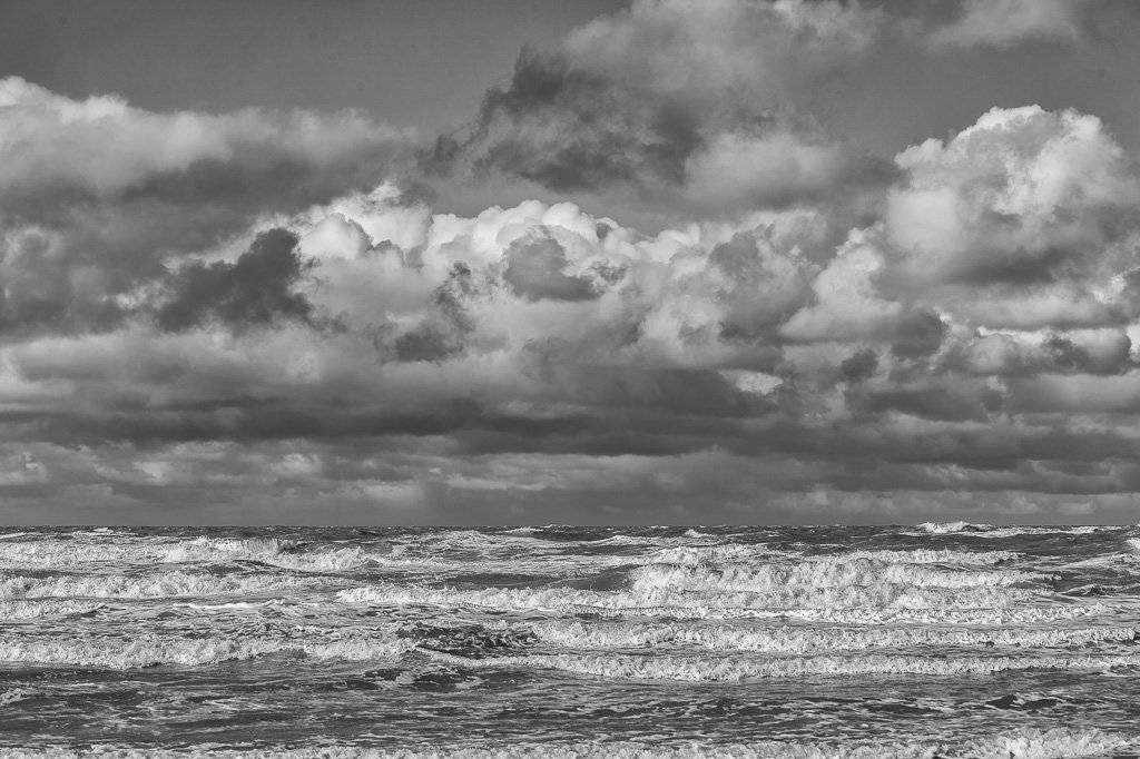 Botanics's tweet image. #formby #beach #blackandwhite #cloudy #windy #autumn #sanddunes #dunes