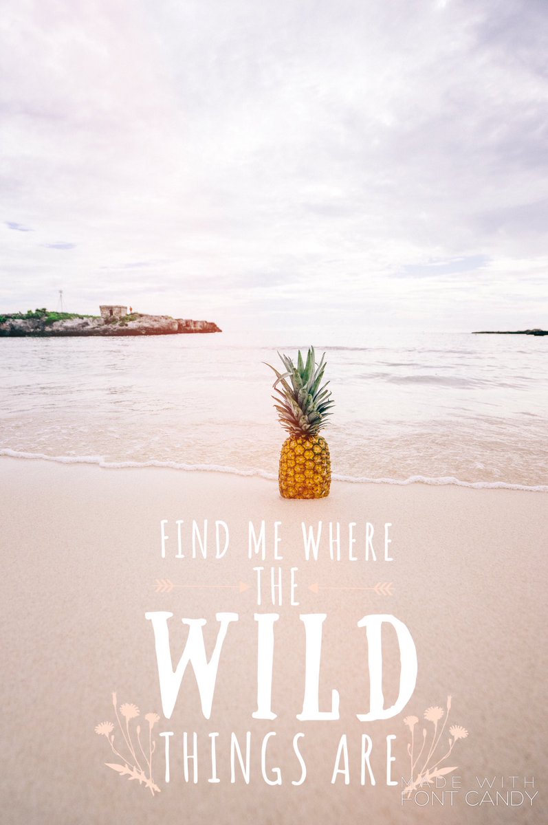rasco_capital's tweet photo. Cause life’s not as fun, unless your living on the wild side!! Take a chance on us!! 480-382-5656 #rascobuyshouses #rascocapital https://t.co/LUfSVXVlgY