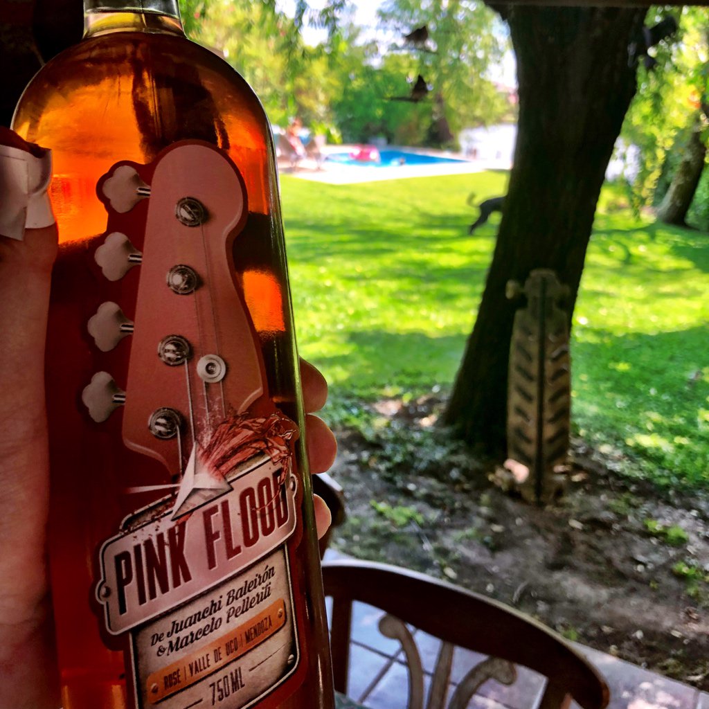 PEU_AR's tweet photo. Post asado, gran opción el vino de @JuanchiBaleiron #pinkflood https://t.co/8gm08pjAFT