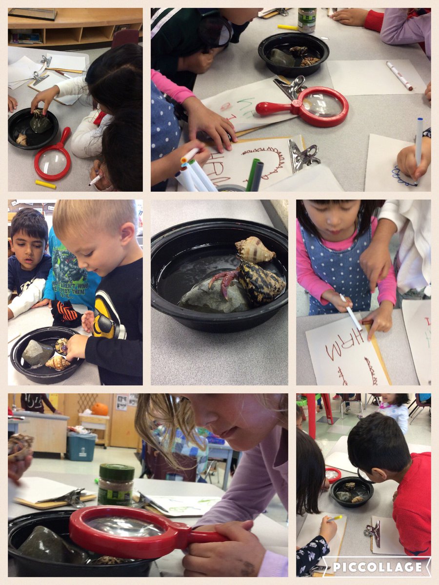 Nancy Thrower tweet media