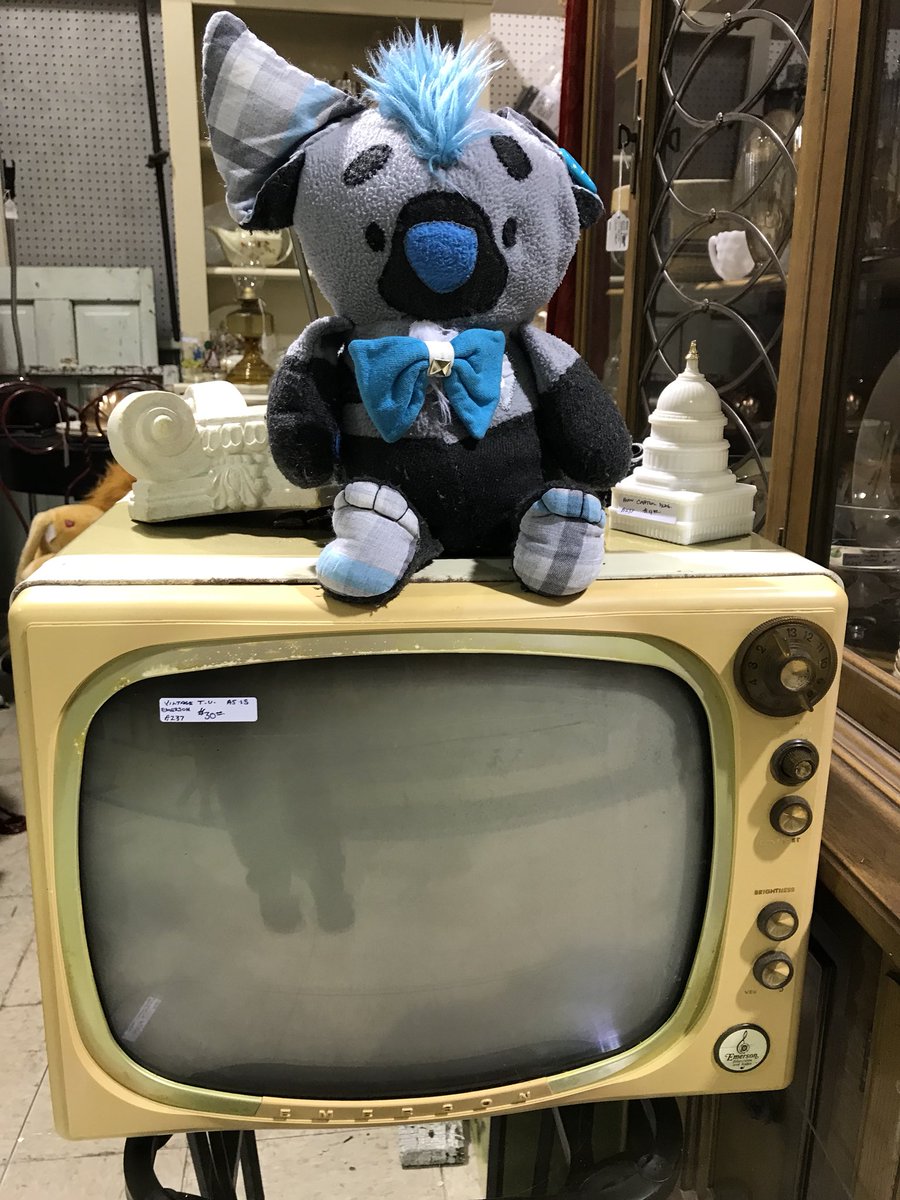 MADSHYARTS's tweet photo. And of course my buddy Mini Mav was with me on my Antique shop adventure lol . #buttonpup #MiniMav https://t.co/zq11nGTGLp
