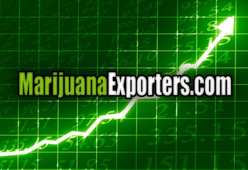 webnamedomains's tweet photo. Domain For Sale! #marijuana #domains #medicalmarijuana #cbd #websites #business #marketing #brand #Entrepreneurship #entrepreneurs BUY! https://t.co/uD4wo5vHsX