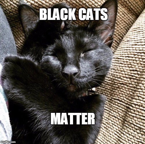 MkonzMorgan's tweet photo. I survived!! #Halloween #FullMoon #anothercatmeme https://t.co/CdEc2umF7q