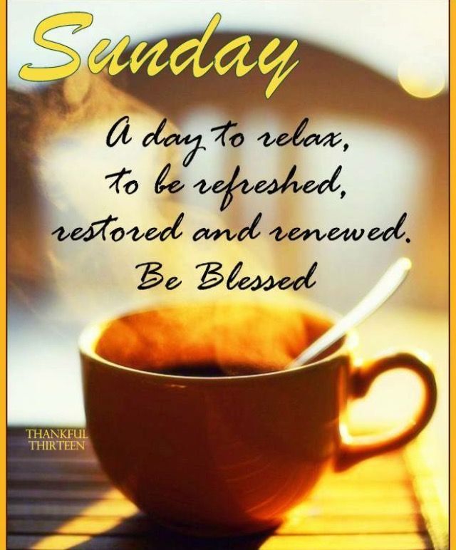 EndlessSummerLP's tweet image. Happy Sunday!The holidays are quickly approaching!Who’s ready for the holidays?! Can you believe some places in the US have gotten snow☼