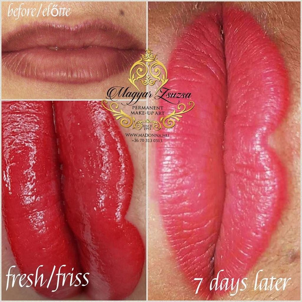 zsuzsamagyar's tweet photo. #repair #repaired #tattoorepair #pmurepair #pmulipsbudapest #pmu #pmulipsđ #permanentmakeup #permanentmakeuplips #ajak #ajaksminktetovalasb⊠https://t.co/hZy5kRp3HR