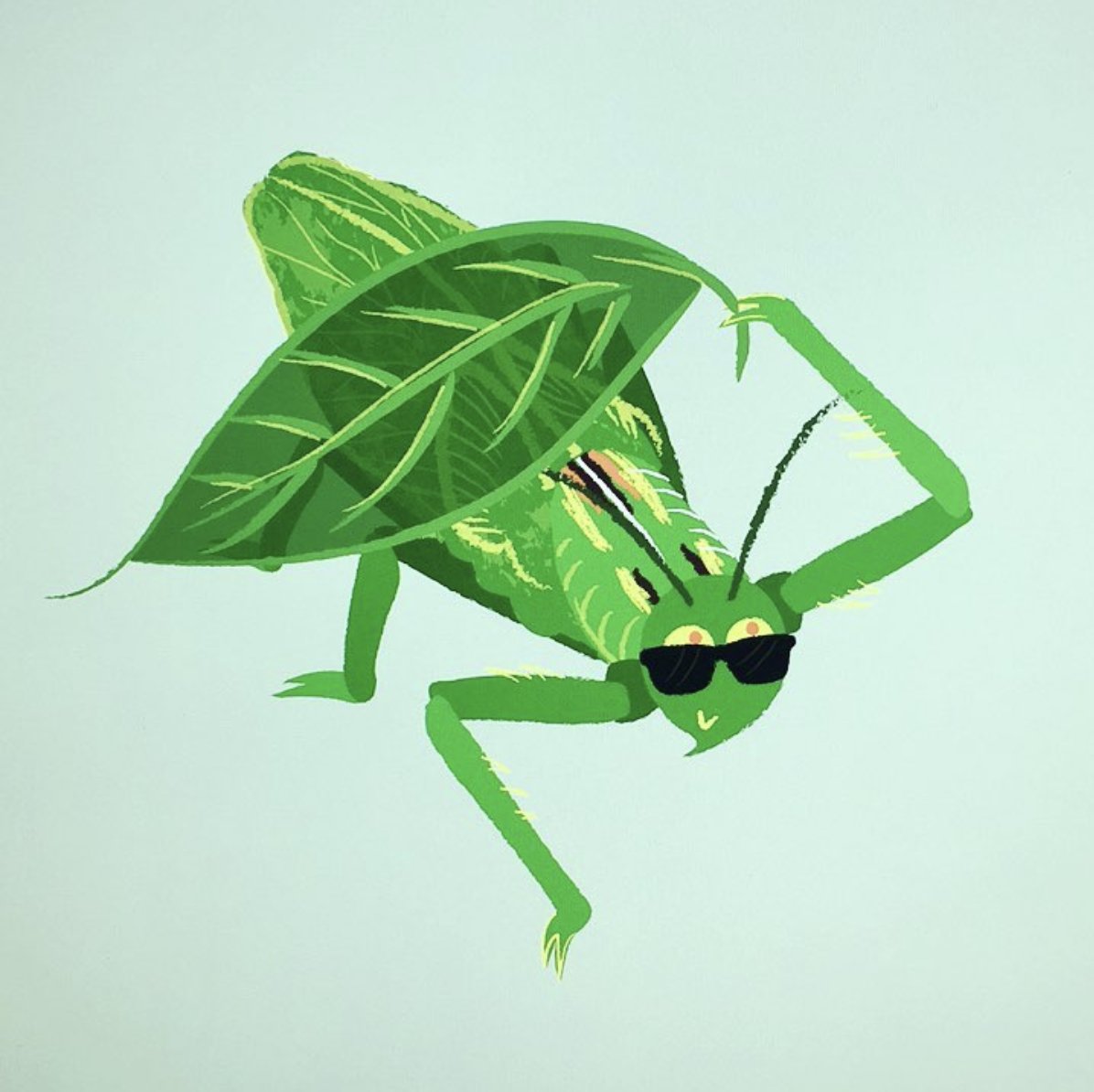 streamlinenz's tweet photo. Our Mac’s a bit buggy today... #illustration #bugs #insects #bookdesign #character #katydid #nzwildlife #design #designstudio #NewZealand https://t.co/xk99lYyFak