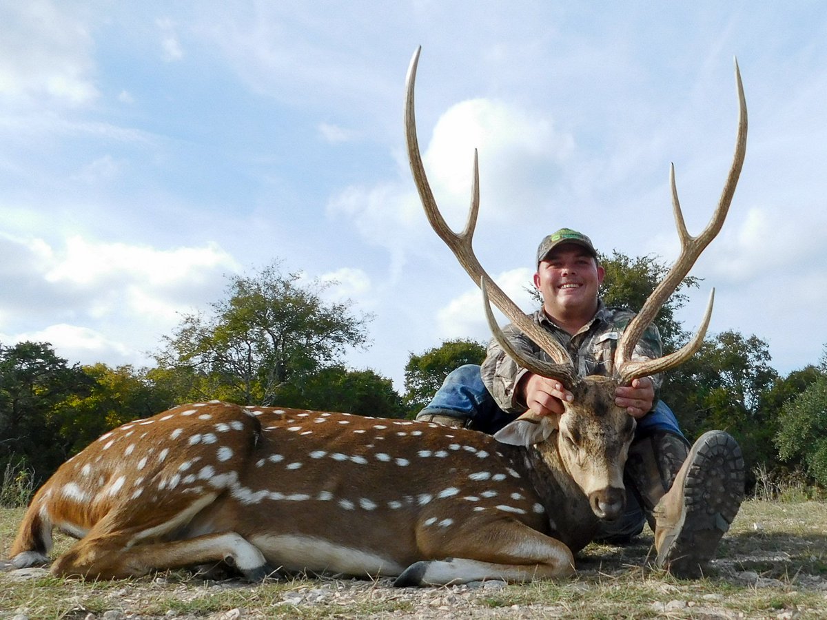 BuckValleyHunts's tweet photo. #axishunting #deerhunting #trophyaxis https://t.co/uAupLp5ATG