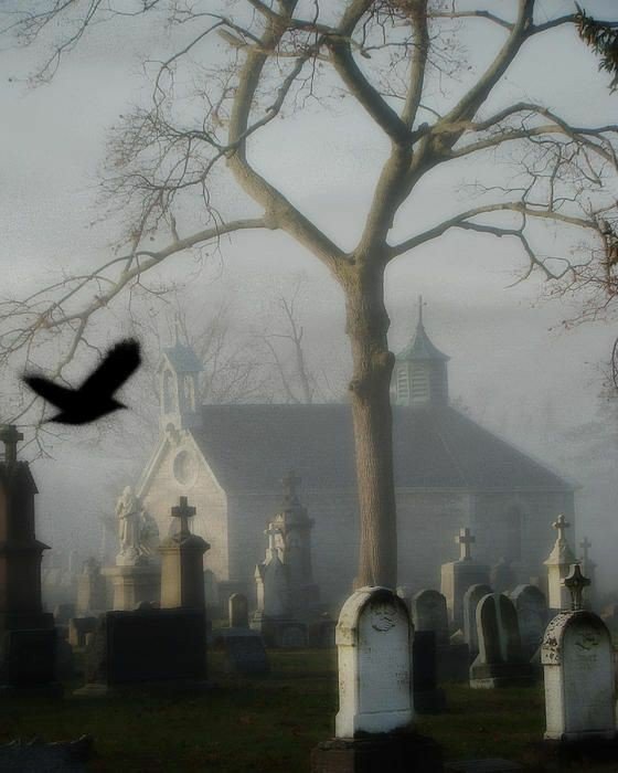 BunnieKat1962's tweet photo. #CemetarySunday https://t.co/iRPCCZioot