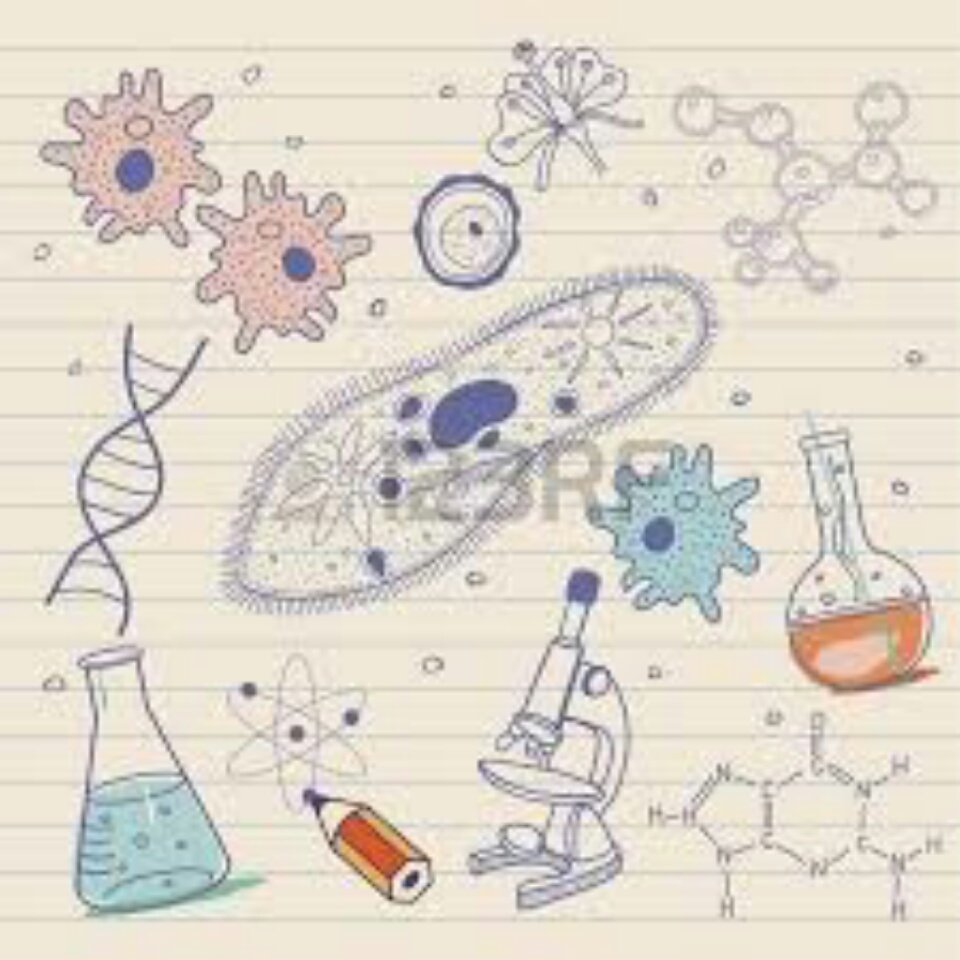 #FenBilimleri90soru 
Fen bilimleri olmadan olmaz
<a href="/tcmeb/">Millî Eğitim Bakanlığı</a> @yilmaz_ismet58 <a href="/yekta_sarac/">Prof. Dr. M. A. Yekta Saraç</a> <a href="/OSYMbaskanligi/">ÖSYM</a>