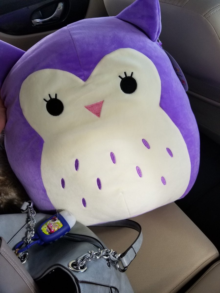 #squishmallow hashtag on Twitter