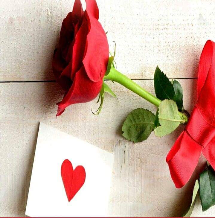 أكثر ما يسعد قلبي أن يخبرني أحد أنني أدخلت السعادة على قلبه ويغمرني بدعوة دافئة من قلب صادق قادرة على أن تحي قلباً