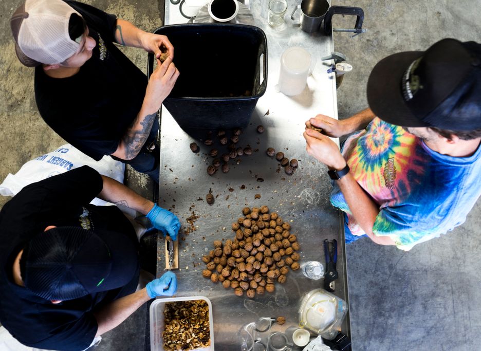 bootleggersbrew's tweet photo. #WalnutStout? After 2 days, we finally cracked through 100 pounds of locally grown walnuts! Thanks L&amp;K Simas Farms 4 the delicious walnuts https://t.co/LNqiC3gIUv