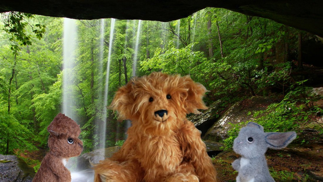 Arth Doeth tweet media