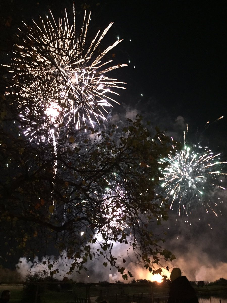 Jennifer4James's tweet photo. Just been to see the local firework display (conveniently just at the end of my road) 🎇❤️🎆 https://t.co/PZWTKnYuvT