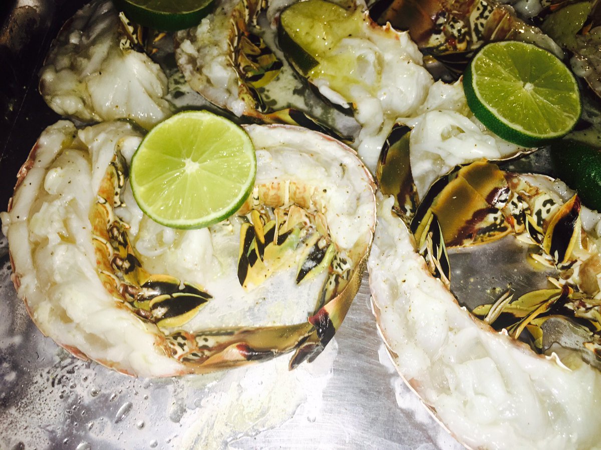 FLKeysfishguide's tweet photo. Recipes of the Keys
Boneafide Charters
BAKED LOBSTER CILANTRO BUTTER
#fishing #keywest #foodie #dinner #catchyourdinner #boneafidecharters https://t.co/zgAiMblRoK