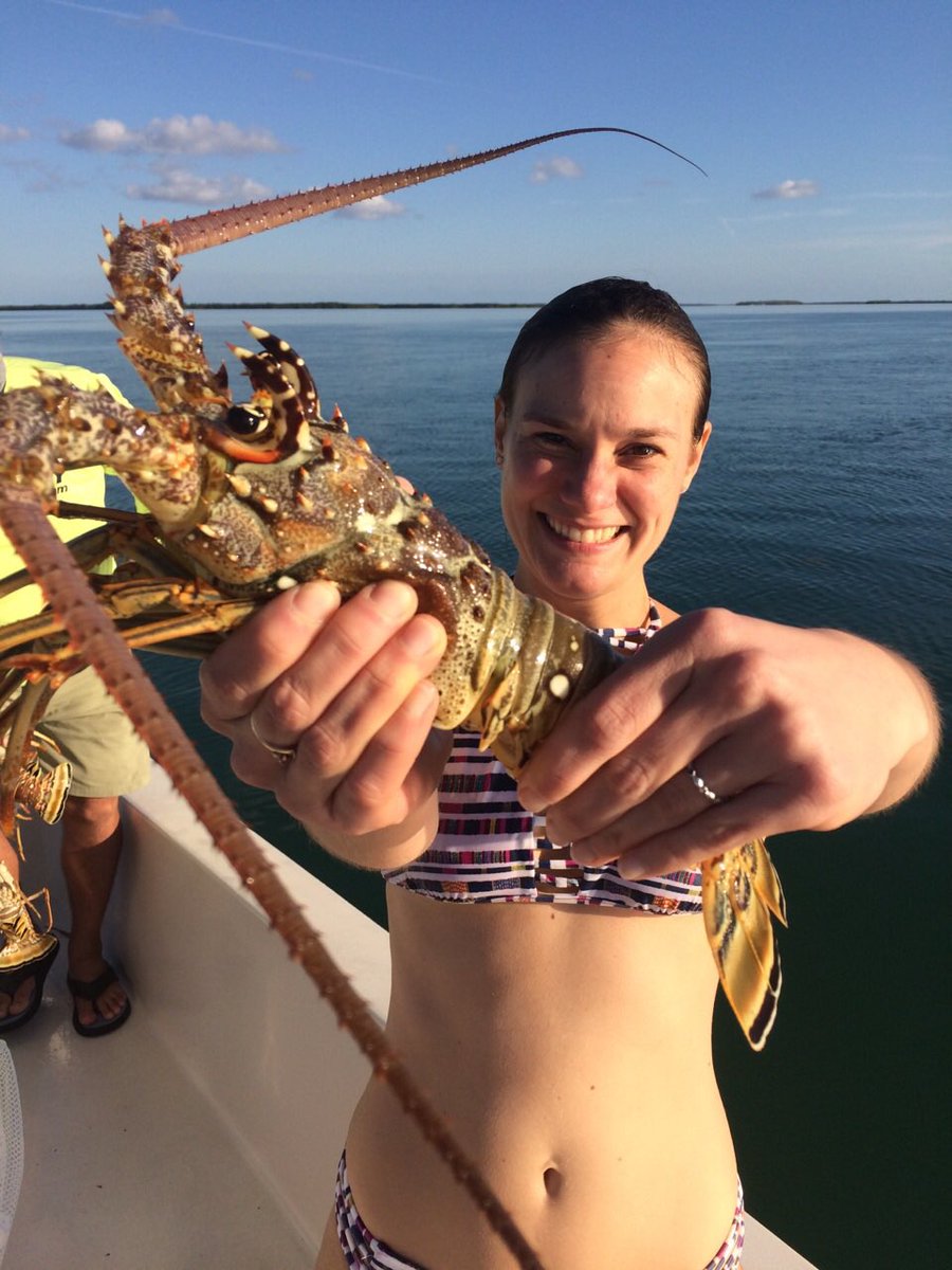 FLKeysfishguide's tweet photo. Recipes of the Keys
Boneafide Charters
BAKED LOBSTER CILANTRO BUTTER
#fishing #keywest #foodie #dinner #catchyourdinner #boneafidecharters https://t.co/zgAiMblRoK