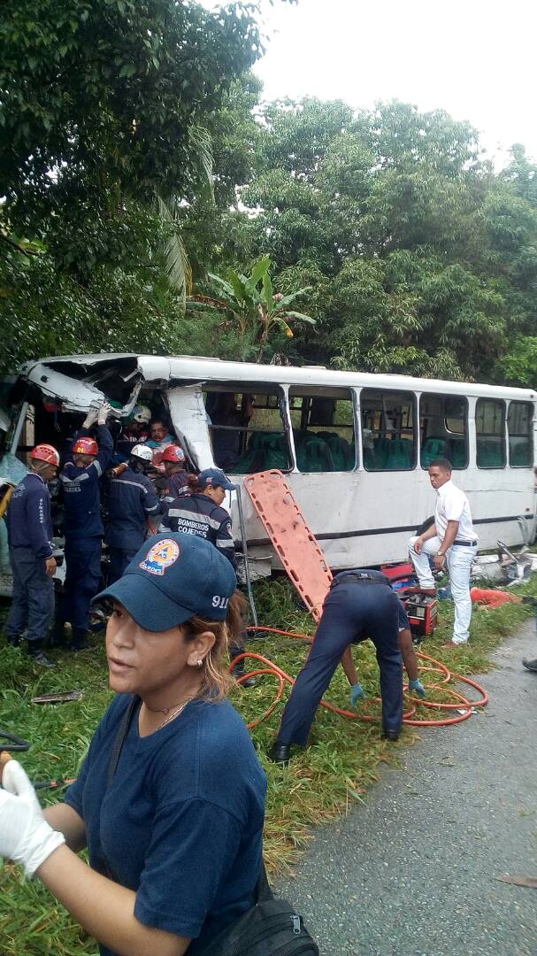 Ver imagen en Twitter